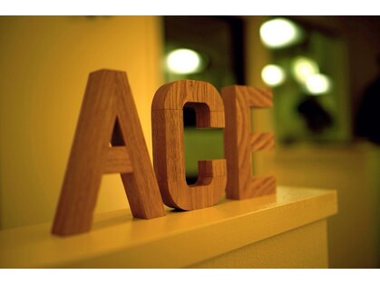 エース(ACE)の写真