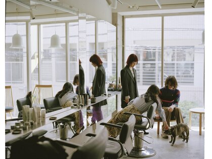 ビビト(bibito)の写真
