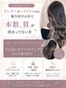 【シールエクステのインナーやハイライトのみ取り付けの本数、質相談】