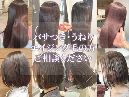 髪質改善 equal 千葉【イコール】の写真