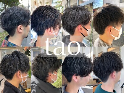 タオ(tao)の写真