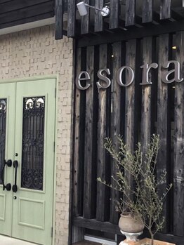 エソラ(esora)の写真/あなただけの特別な時間をご提供＊半個室空間で人目を気にせず、非日常を味わえるサロン“esora“