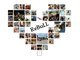 レブル(Re BuLL)の写真