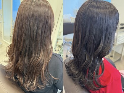 メイルン(Mailune)の写真