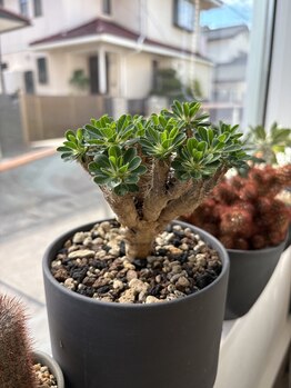 カッティングステージパルジュ(Cutting Stage PALJU)の写真/サロンの雰囲気は心地よく、気軽に通えるアットホームさが魅力の場所です♪
