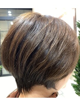 メイン クーン(Maine Coon) 上品なショート