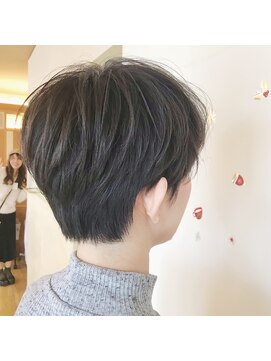 ペッツ(PETZ) 『PETZ本店』半田マイケル  マッシュショート☆