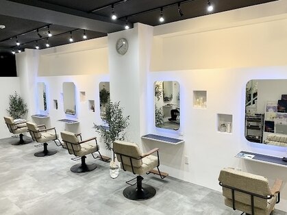 シードバイシャムロック(SEED by Shamrock)の写真