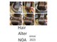 ノア(NOA)の写真