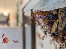 アンツ 糸島(Ants)