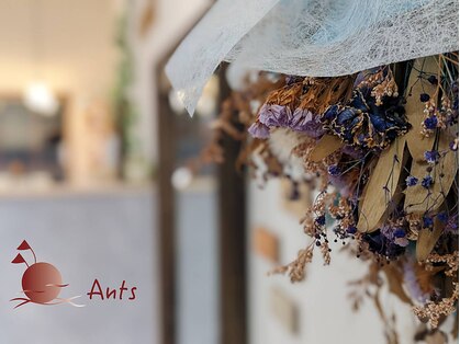 アンツ 糸島(Ants)の写真