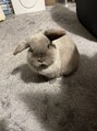 ヒトノワ(Hito.nowa) ペットのうさぎです。名前は「おそば」です。4歳です。