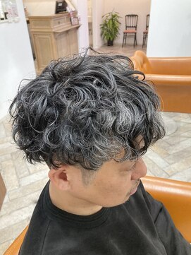 ルプティール(le petieur) スペインカール シルバー グレイ