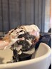 【平日】スパニスト在籍★極上オーダーメイドHeadSpa（60分）