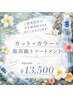 【新規】カット+カラー+最高級トリートメント ¥24,640→¥13,500