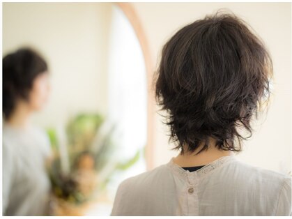 リノ(lino)の写真