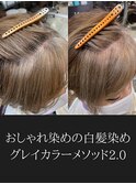 グレイカラーメソッド2.0