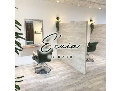 エクシア(E'cxia)の写真