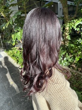 サラ 山口店(SARA) 暗めボルドー