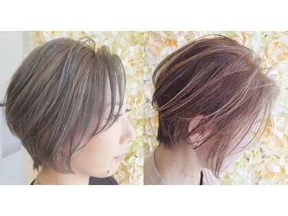 リンク(Link)の写真