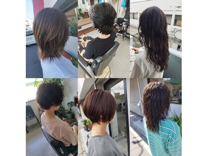 ガブ(GABU.)の写真