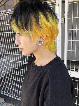 ステラ(stella) インナー+イエロー【和田常経】