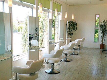 nene's hairの写真