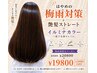 【5.6月限定】カット+イルミナカラー+縮毛矯正+プレミアムTr￥1000off☆￥19800
