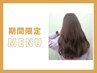 【6月限定】カット＋カラー（白髪染め可/ボブ・ショート）￥11000→￥7500