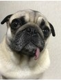 美容室 レア(lea) 愛犬ナッツです。ナッツにはいつも癒されてます♪