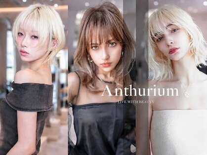 アンスリウム 箕面萱野(Anthurium)の写真