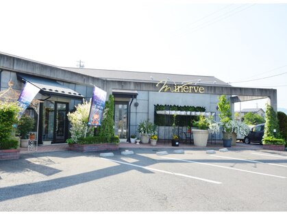 ミネルヴァ(Minerve)の写真