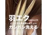 業界市場最高毛質の羽エクステ1本