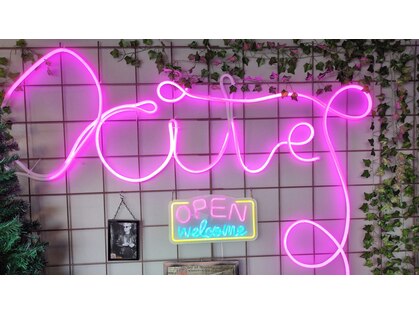 カイト(Kite)の写真