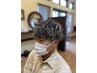 【男性限定】メンズカット+メッシュキャップ＋オンカラー