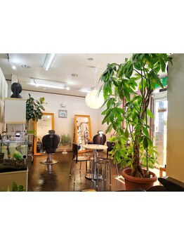 【大型サロンがちょっと苦手…という方に】緑あふれる空間でゆったりとお過ごしください