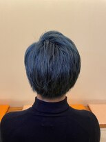 ピールアーク(peal ark) 韓国風メンズカラー/ネイビーブルー