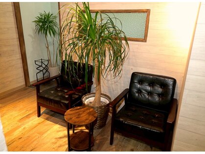 リノ(Lino.)の写真