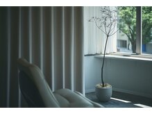 コーエン(coyen)の雰囲気（日の当たる店内｛レイヤーカット/ウルフ/ボブ/パーマ/勾当台｝）