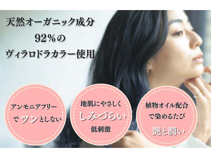 セン(SEN)の写真