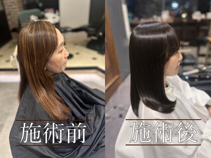 キヴィ(kivi)の写真