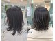 クオーター(QUARTER)の写真