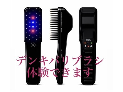 ヘアーフラップシーズ(Hair FLAP seeds)の写真