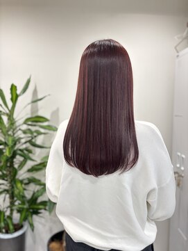 リラエ(North Lyrae) ボルドーカラー