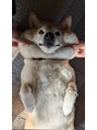 ファスナー(fustener) 愛犬コロンですよく床に転がってます ほっぺリス並に伸びます笑