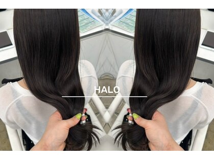 ハロ(HALO)の写真