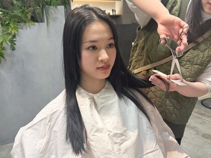 カーメラ(CAMERA)の写真