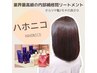 【お得♪】根本カラー＋カット＋選べるトリートメント ￥7900～