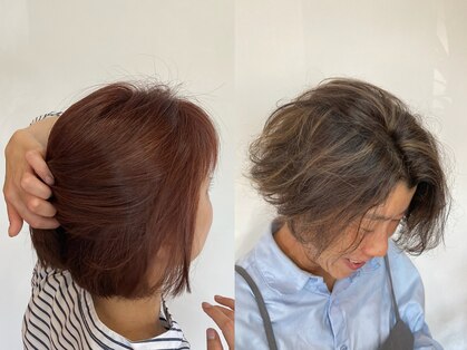 ポラッカ(Polacca)の写真