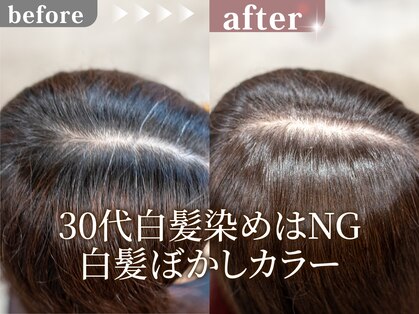 ルルン(Lu-Lun)の写真